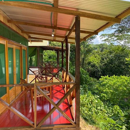 Amazon Acai Lodge ليتيسيا المظهر الخارجي الصورة
