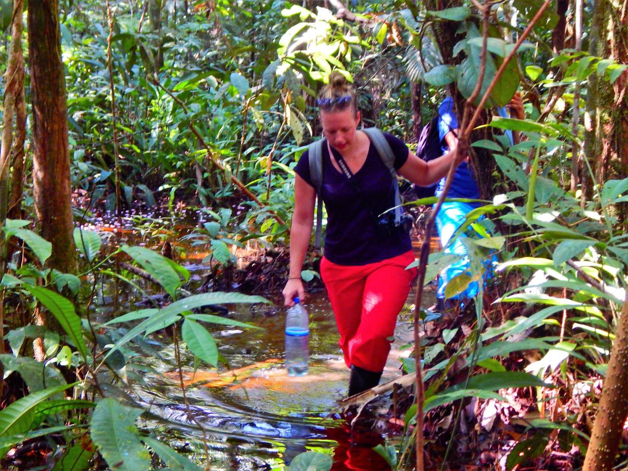 Amazon Acai Lodge ليتيسيا المظهر الخارجي الصورة