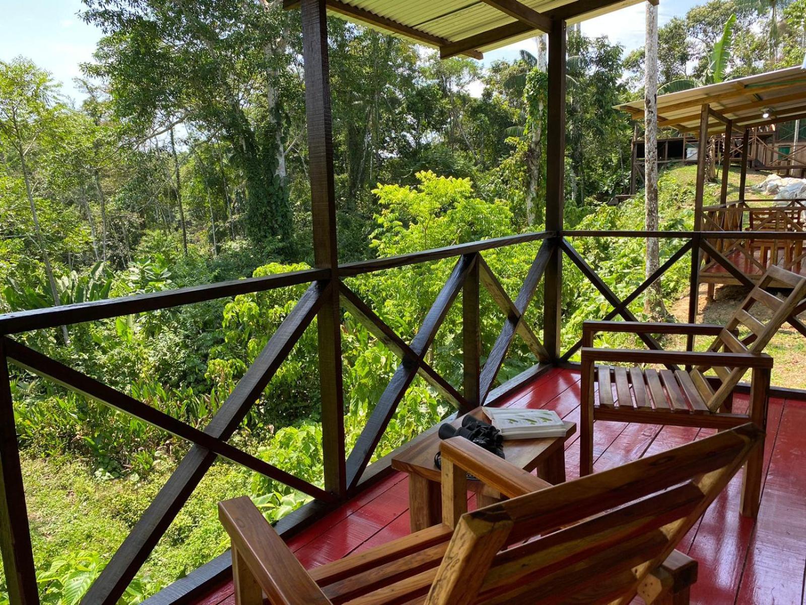 Amazon Acai Lodge ليتيسيا المظهر الخارجي الصورة