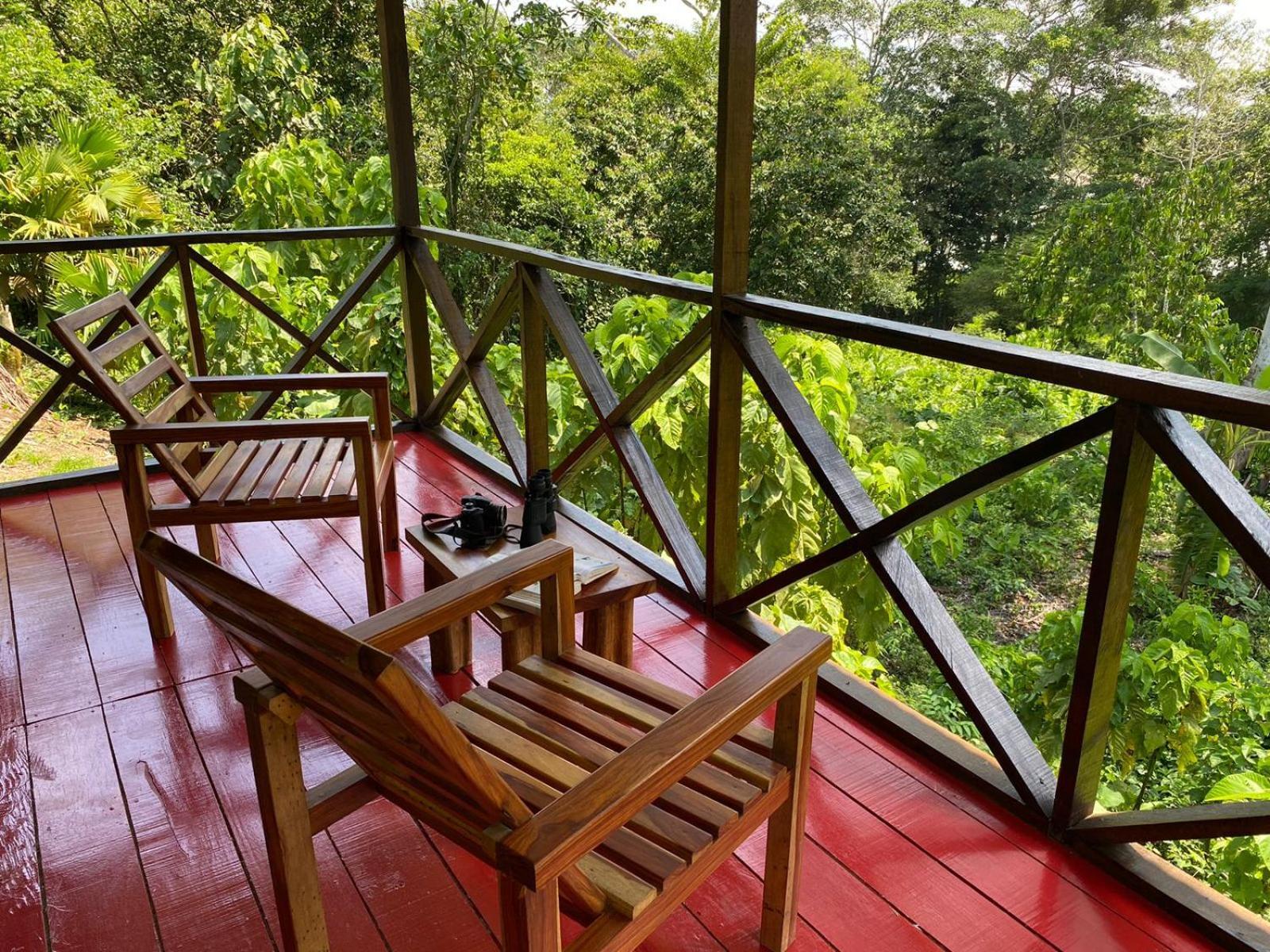 Amazon Acai Lodge ليتيسيا المظهر الخارجي الصورة