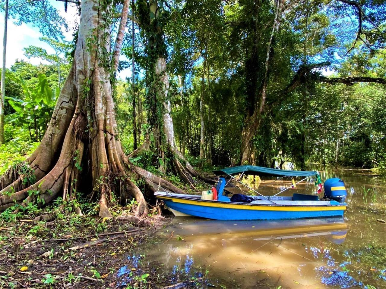 Amazon Acai Lodge ليتيسيا المظهر الخارجي الصورة