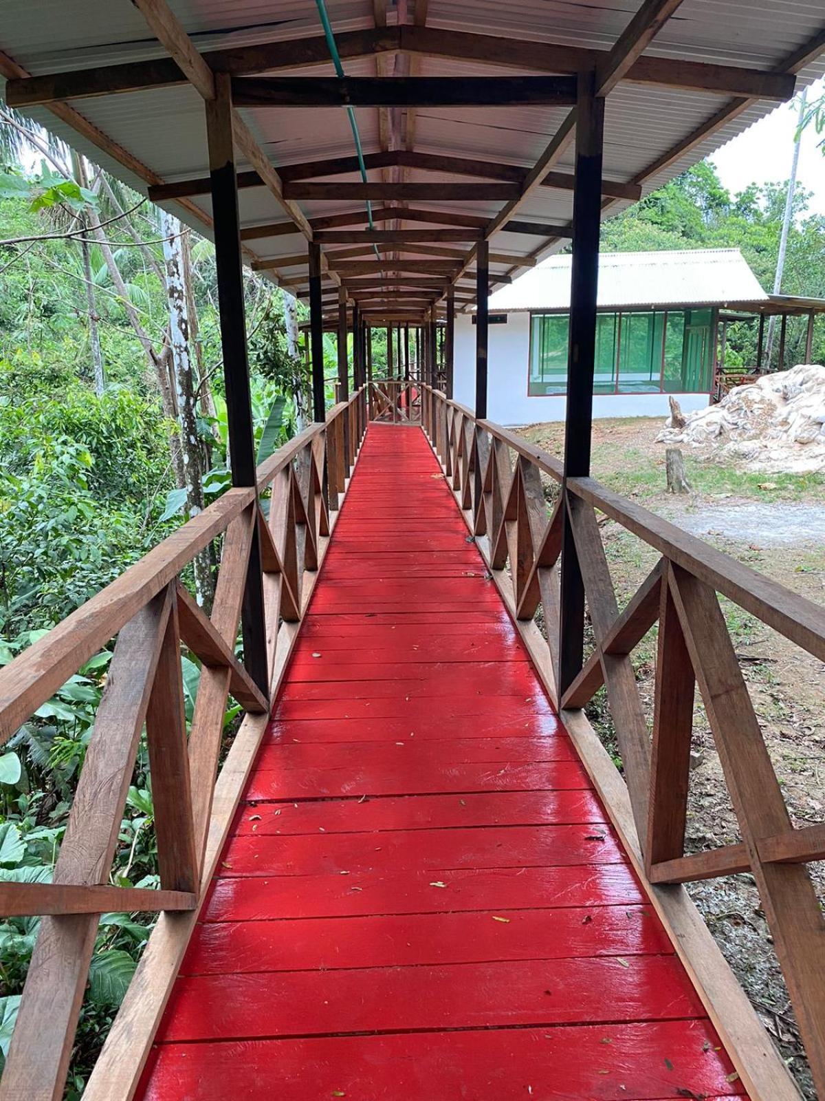 Amazon Acai Lodge ليتيسيا المظهر الخارجي الصورة