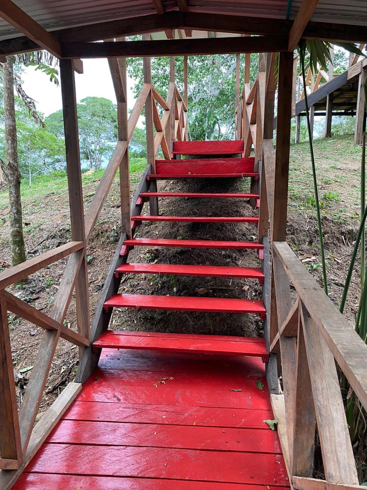Amazon Acai Lodge ليتيسيا المظهر الخارجي الصورة
