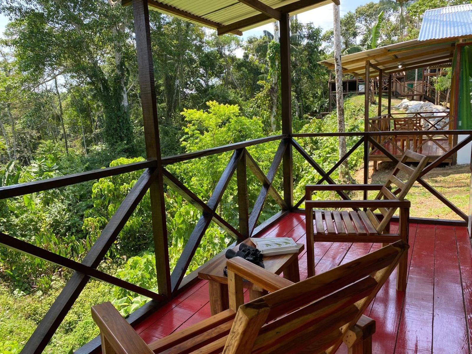 Amazon Acai Lodge ليتيسيا المظهر الخارجي الصورة